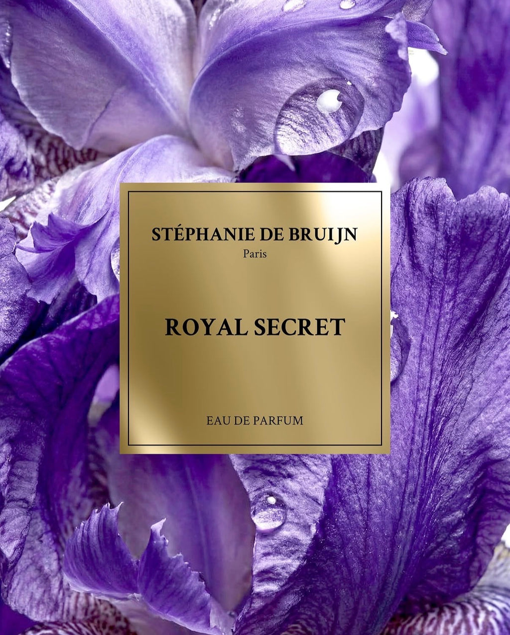 ROYAL SECRET (TRÈS CHÈRE) - STÉPHANIE DE BRUIJN