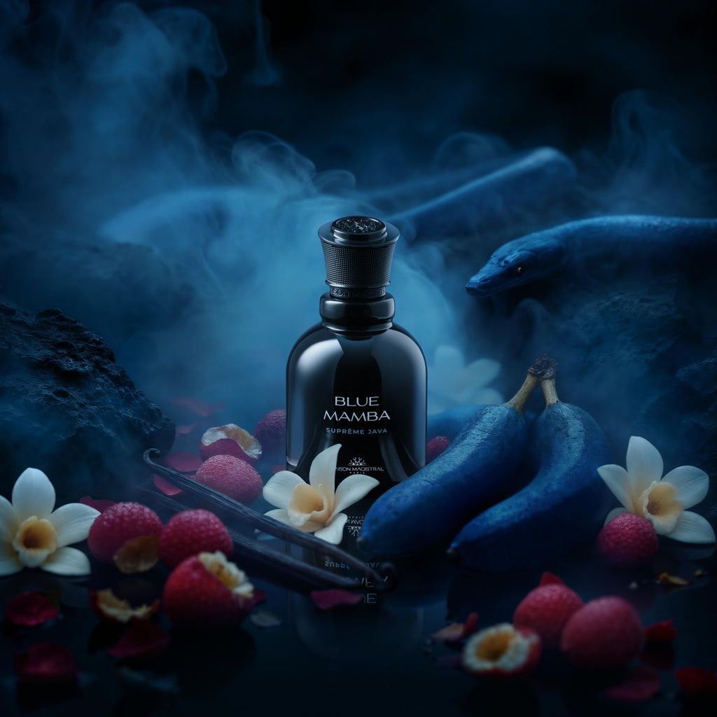 BLUE MAMBA - MAGISTRAL HOUSE