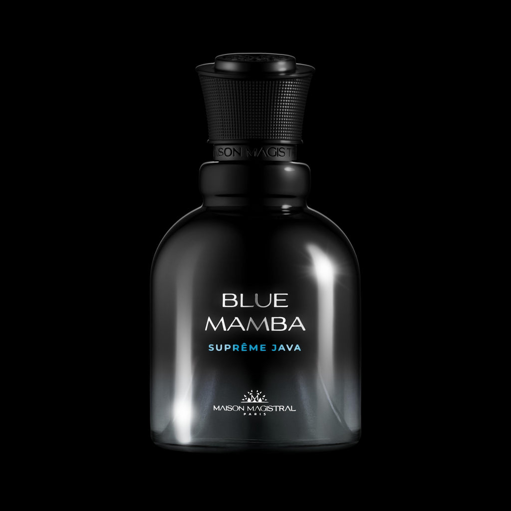 BLUE MAMBA - MAGISTRAL HOUSE